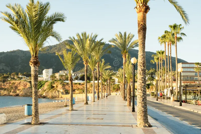 Sobre Nosotros Costa Blanca / Alquiler / Noruego girasolrental