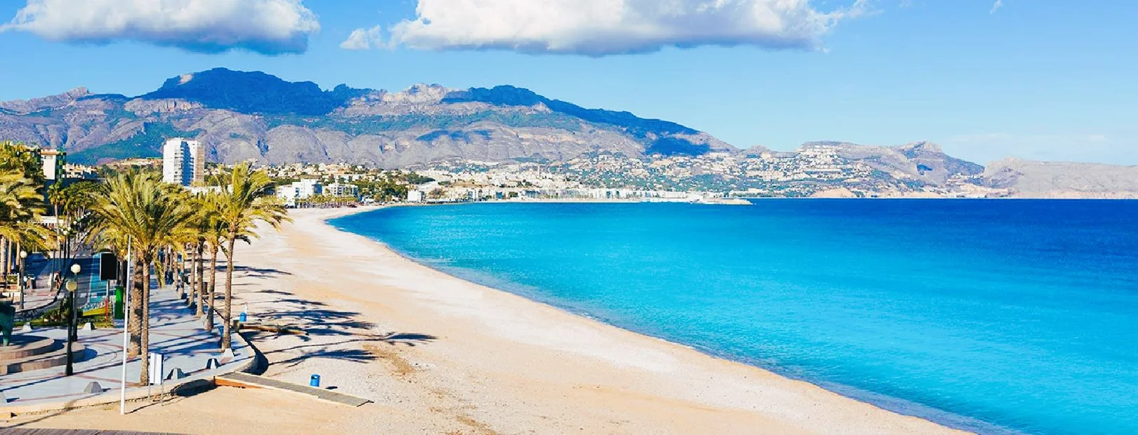 albir