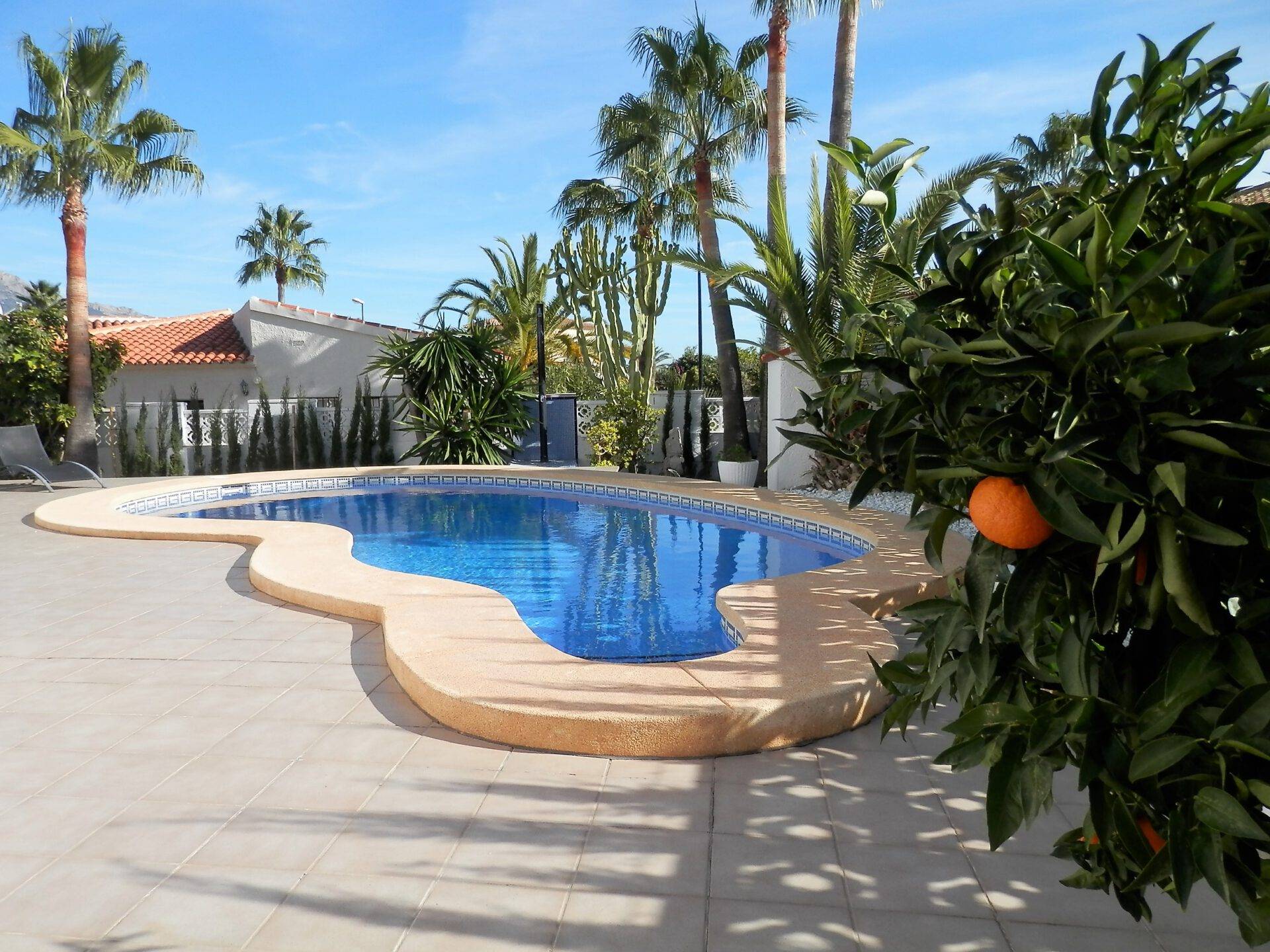 Atenas Girasol Rental1 1