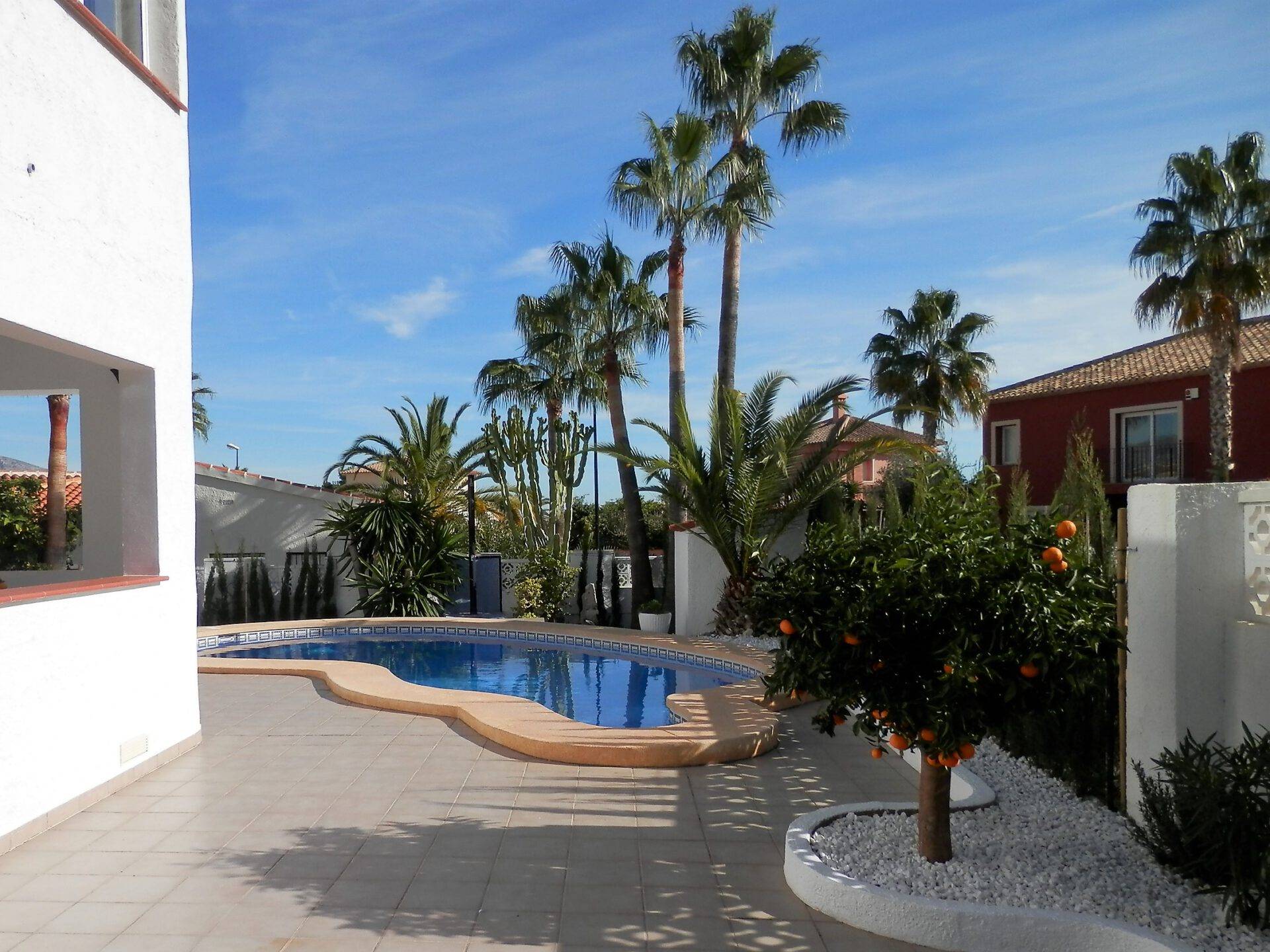 Atenas Girasol Rental32 1